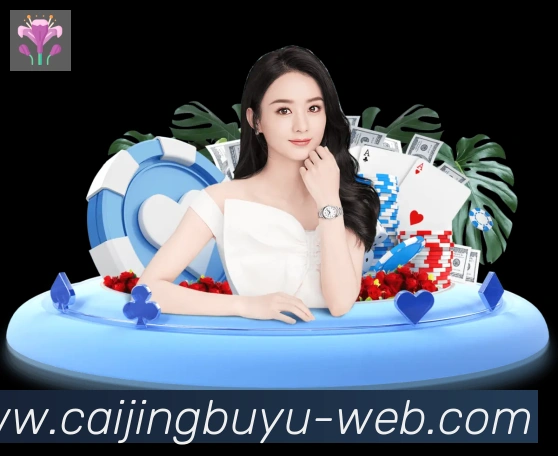 彩鲸捕鱼服务体系